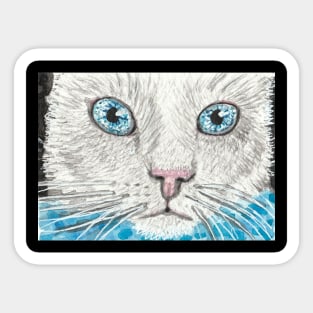 cute cat  face watercolor painting Sticker